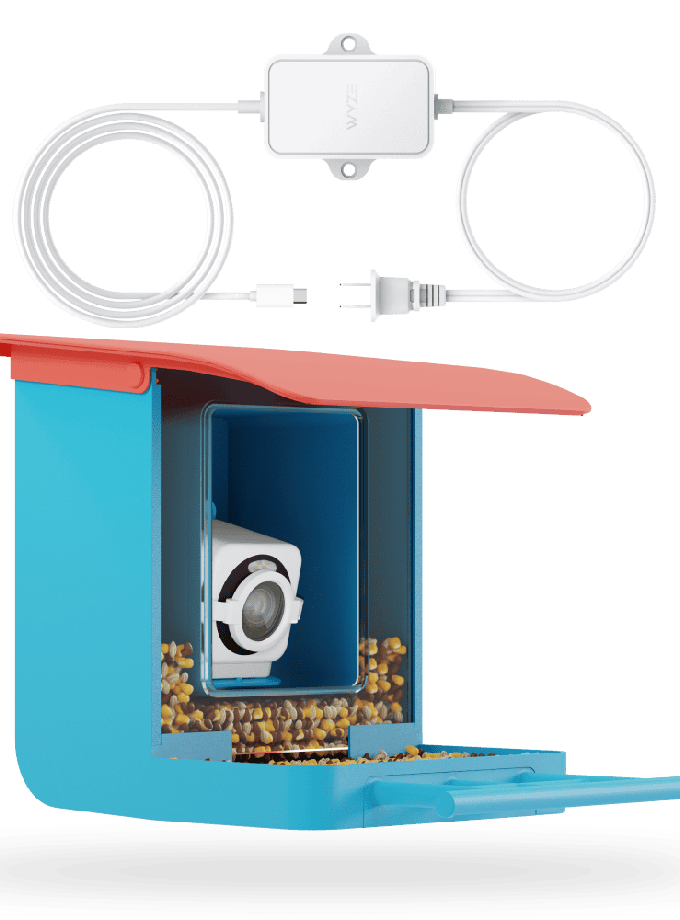 Bird Feeder Plug-in Cam V4 Bundle Best Seller