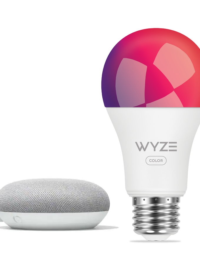 Google Nest Mini + Wyze Bundles Same Day Delivery