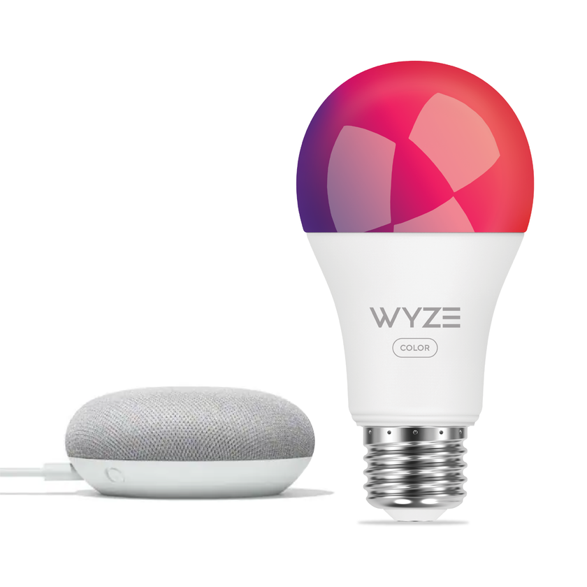 Google Nest Mini + Wyze Bundles Same Day Delivery