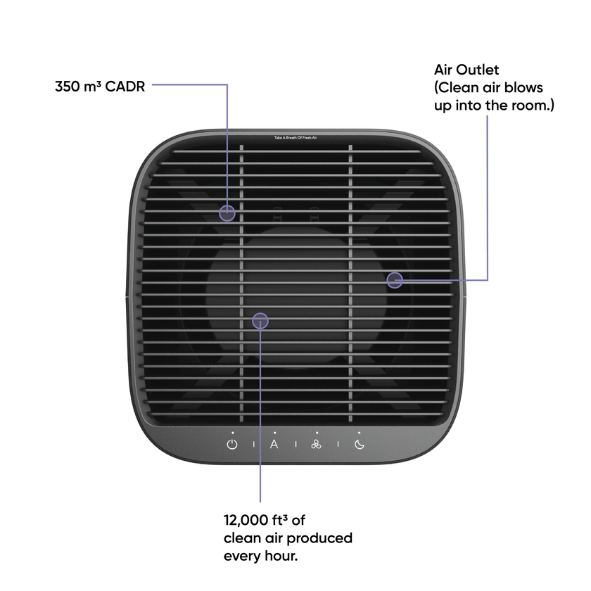 Wyze Air Purifier Same Day Delivery