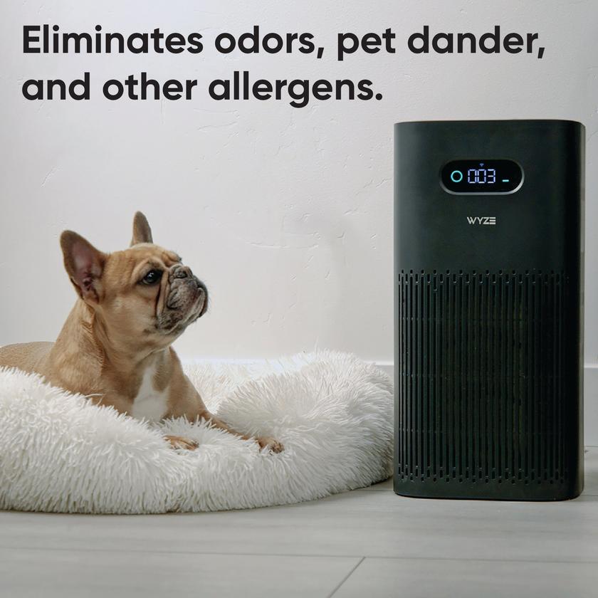 Wyze Air Purifier Same Day Delivery