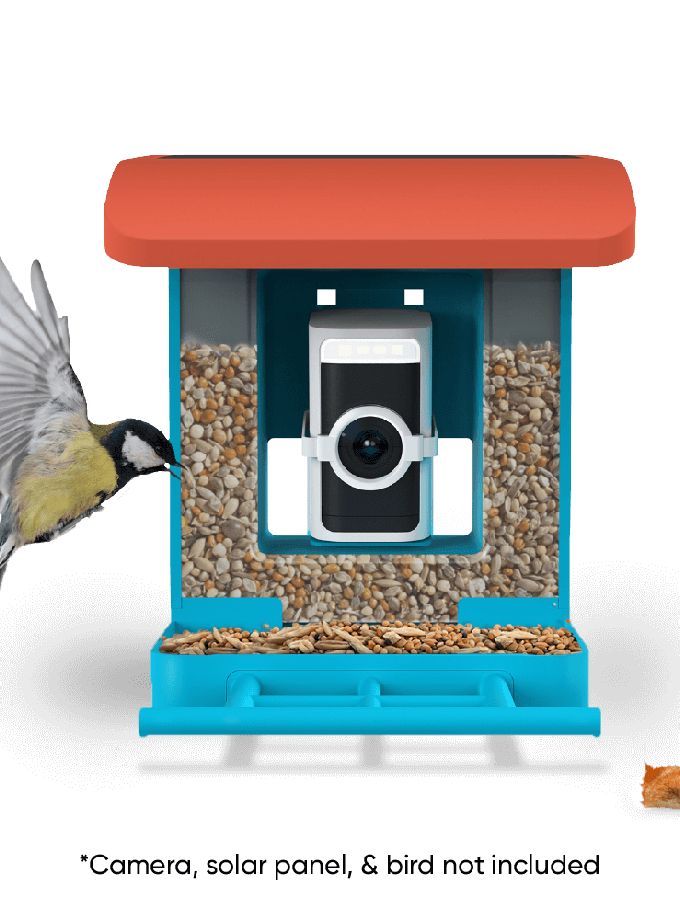 Wyze Bird Feeder Free shipping