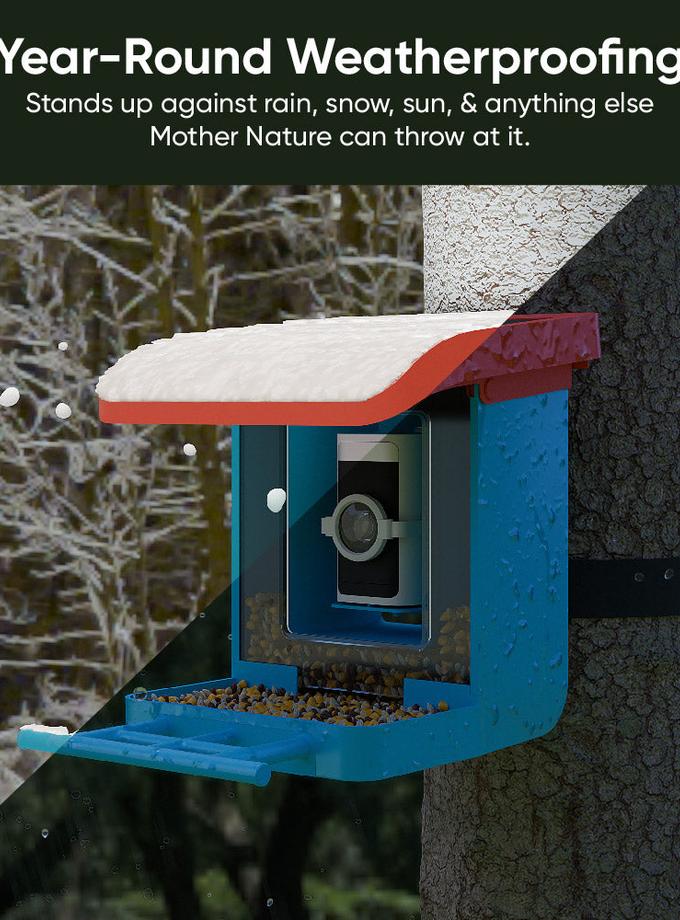 Wyze Bird Feeder Free shipping