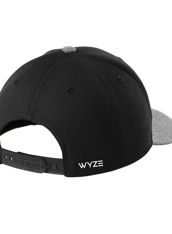 Wyze Cap Best Buy