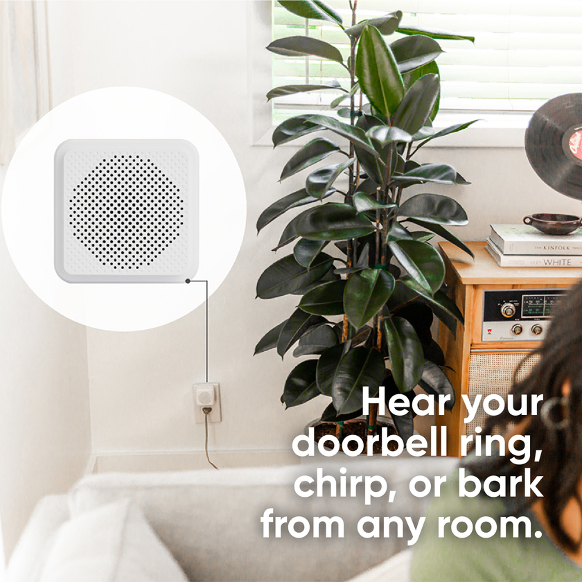 Wyze Video Doorbell (Wired) Best Seller